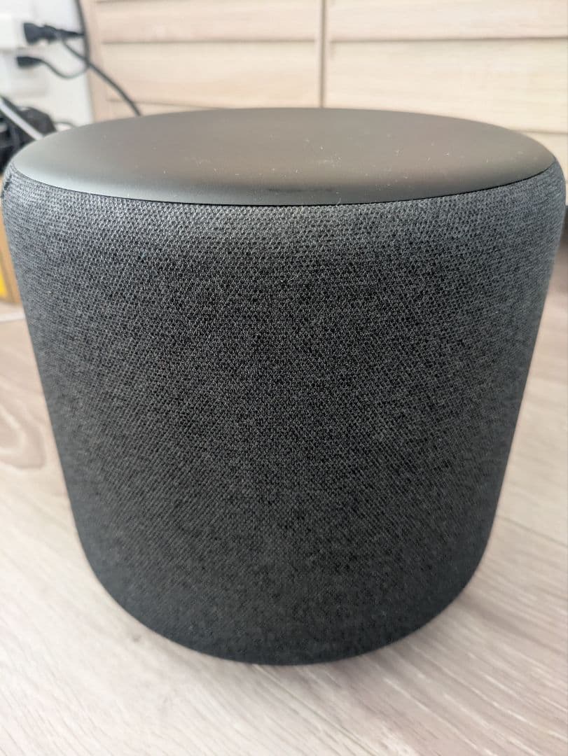 #*様 Echo Sub (エコーサブ) 廃盤 レア商品