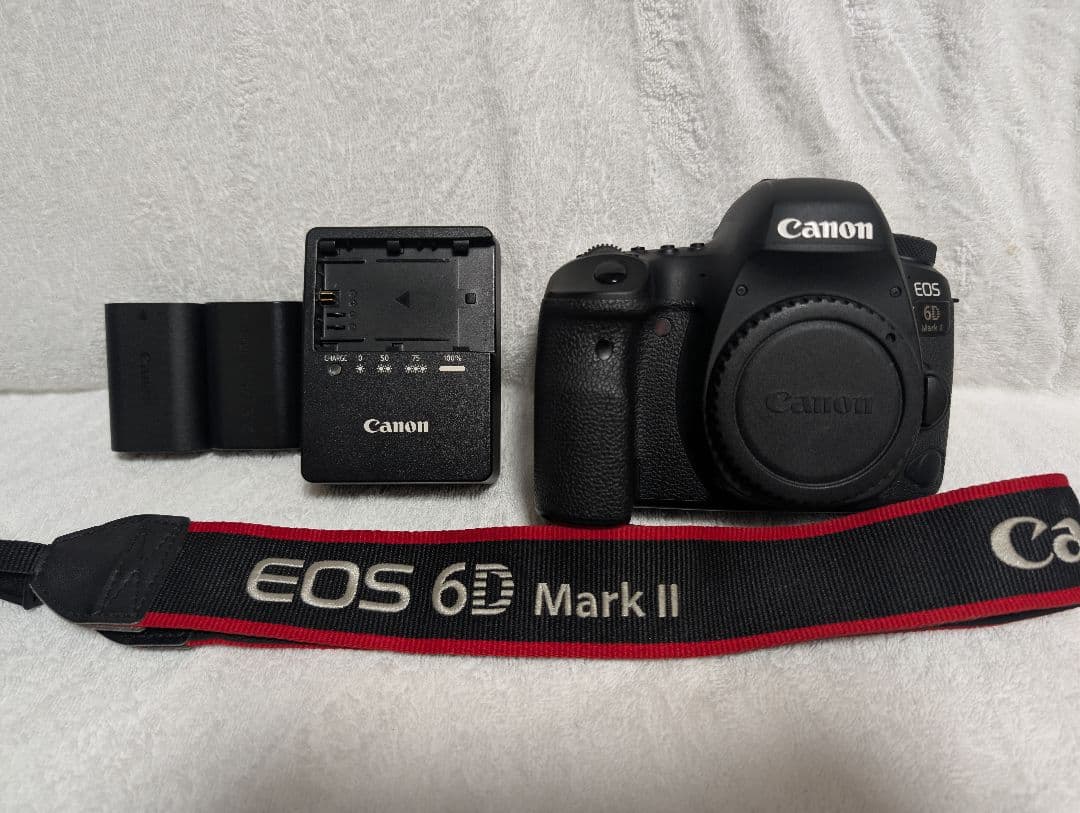 Canon EOS 6D Mark II ボディ