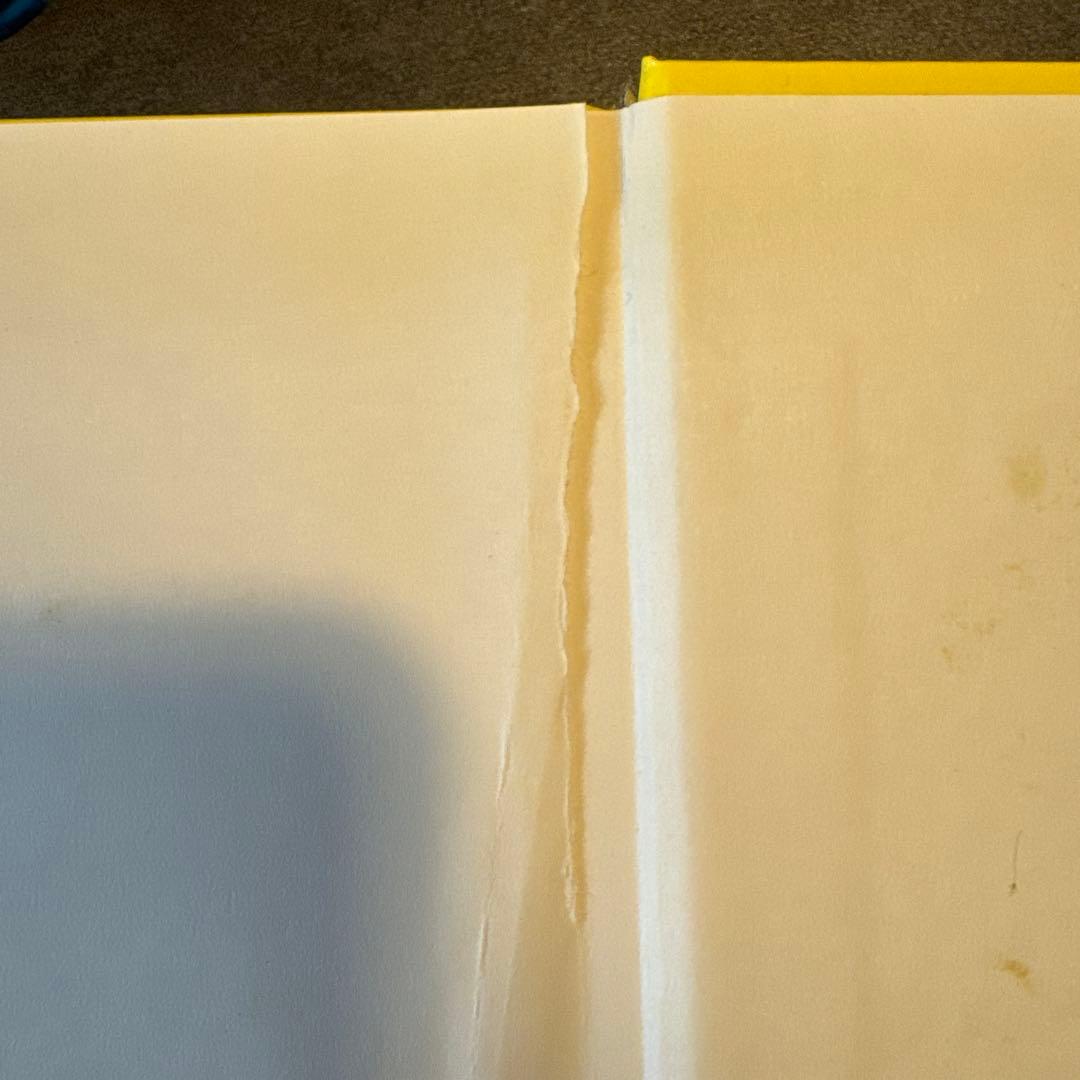 2014年購入　ディズニー英語システム　シングアロングセット（使用感あり）