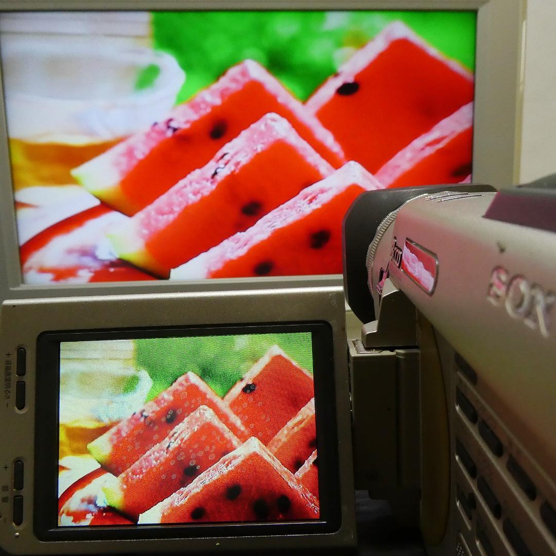 動作良好 ソニー DCR-TRV900 MiniDV ビデオカメラ DVD化に