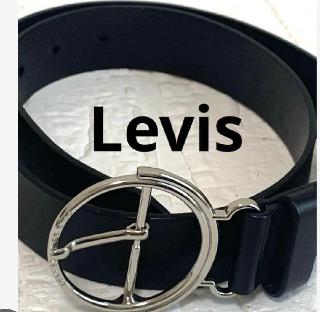 ダニエル　ベルト4点セット