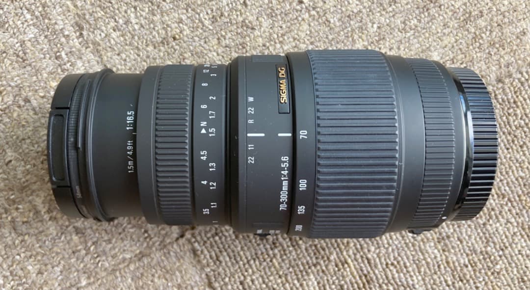 SIGMA望遠ズームレンズ70-300mm F4-5.6 DG MACRO