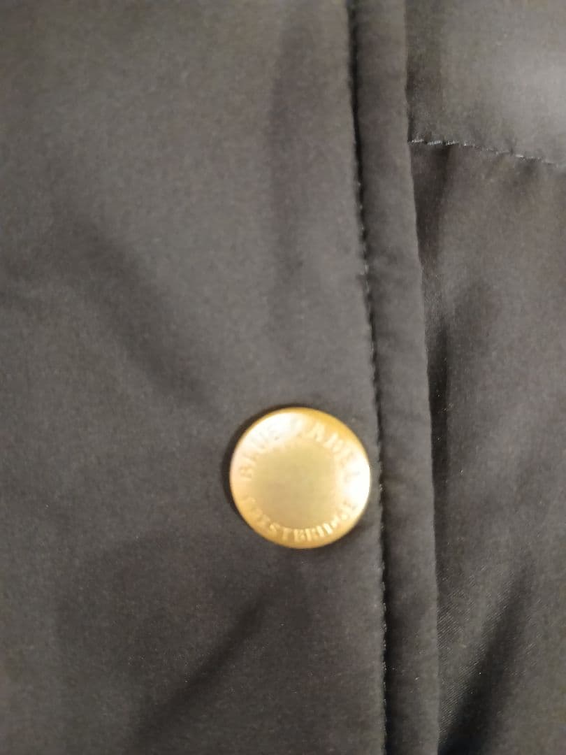 ブルーレーベルクレストブリッジ ダウンジャケット(ネイビー)　40(L)サイズ