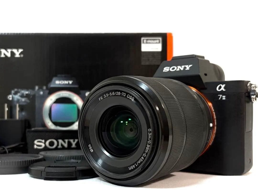 ◆ショット数:3,653回◆ SONY α7 II ILCE-7M2 28-70