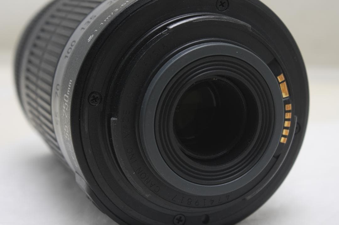 キヤノン EF-S 55-250mm F4-5.6 IS 9817