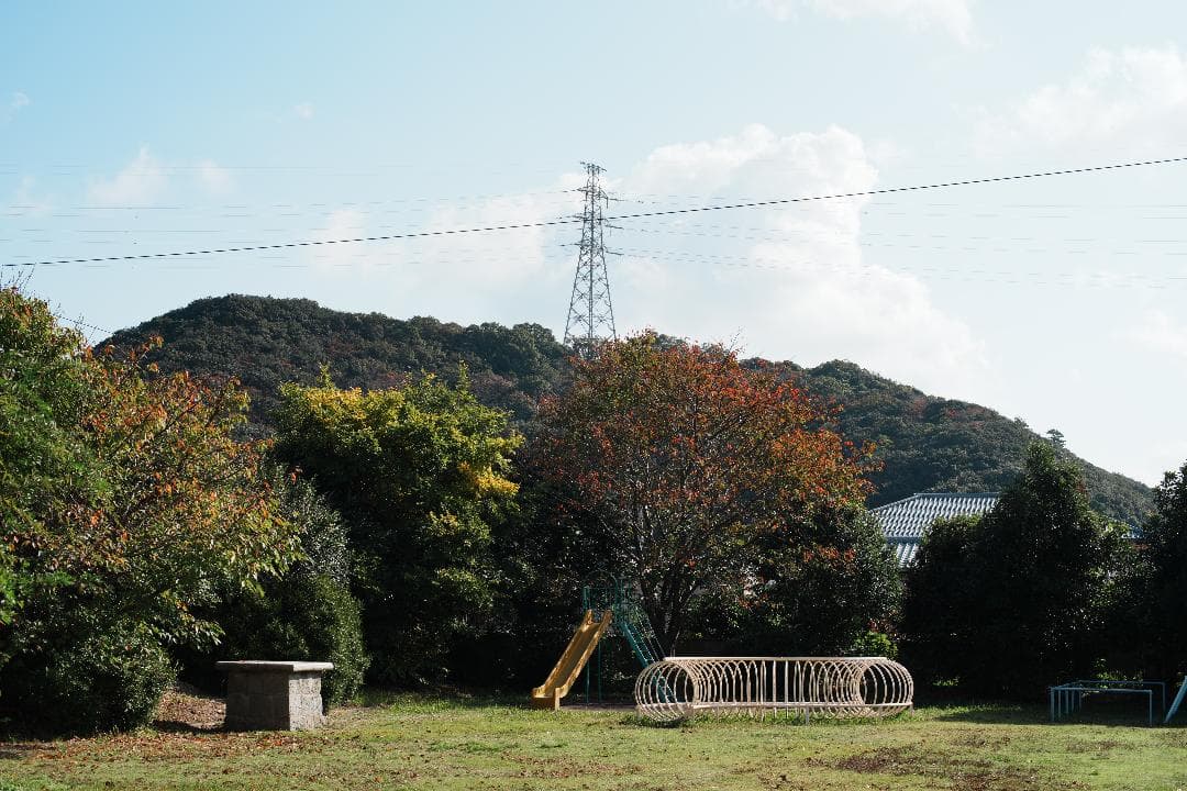 【整備＆テスト済】ニコン New Nikkor 50mm F1.4 後期 499