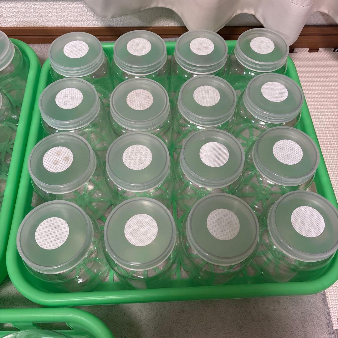 菌糸ボトル 800～830cc 32本 2300cc 5個 コンテナ3枚 まとめ