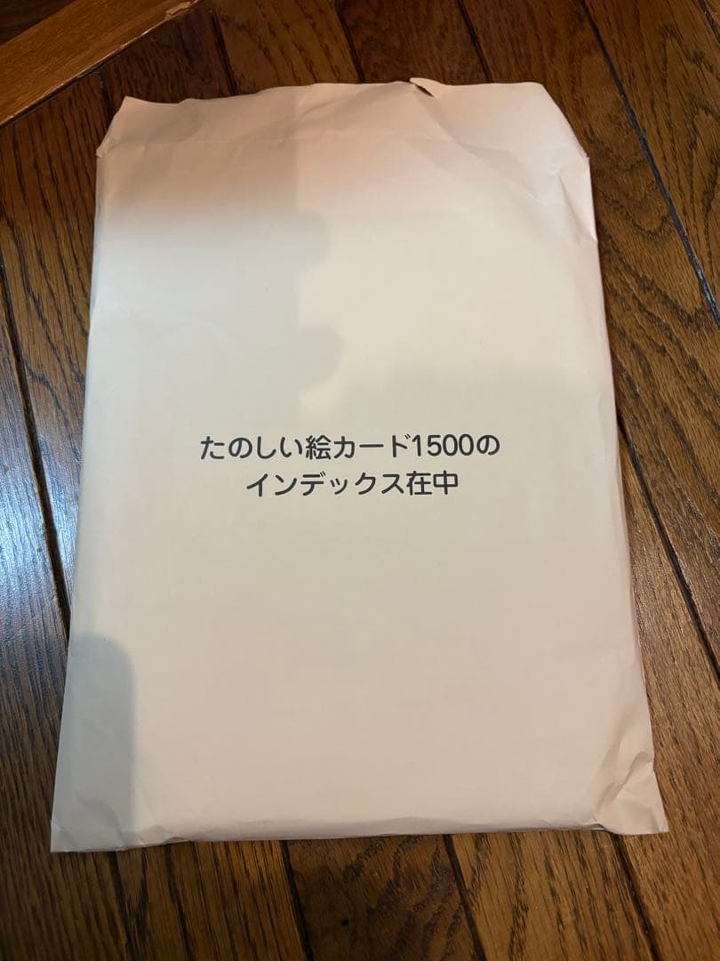 未使用　家庭保育園　たのしい絵カードセット　インデックス　チューター