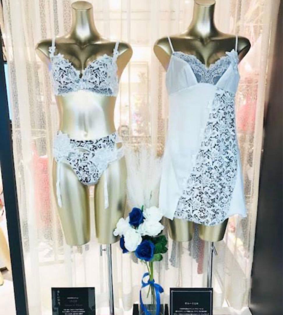 ワコール/サルート 19 店舗限定 新品タグ付 P-upブラショーツG65