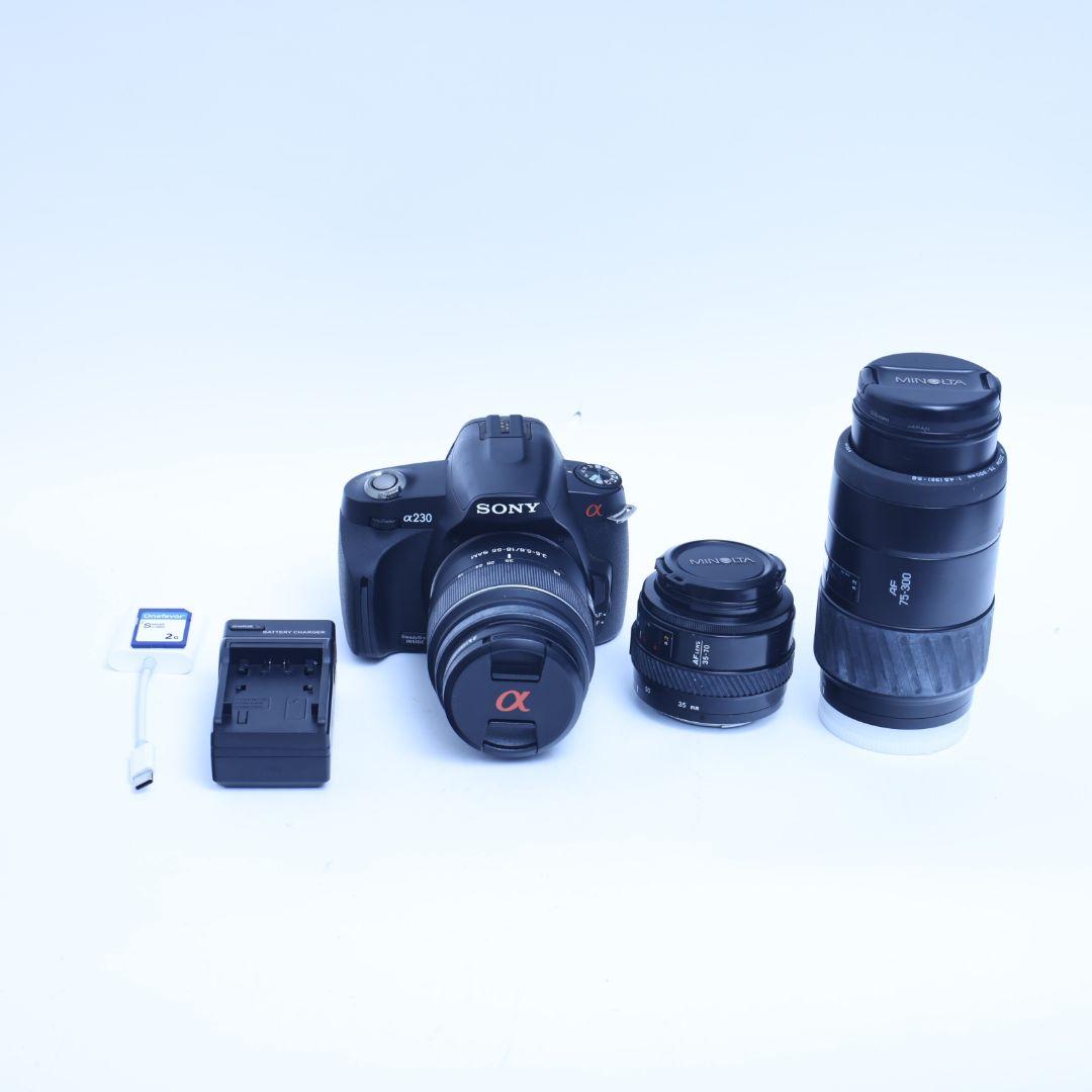 SONY 一眼レフデジタルカメラ 電池 充電器 標準レンズ付 α230