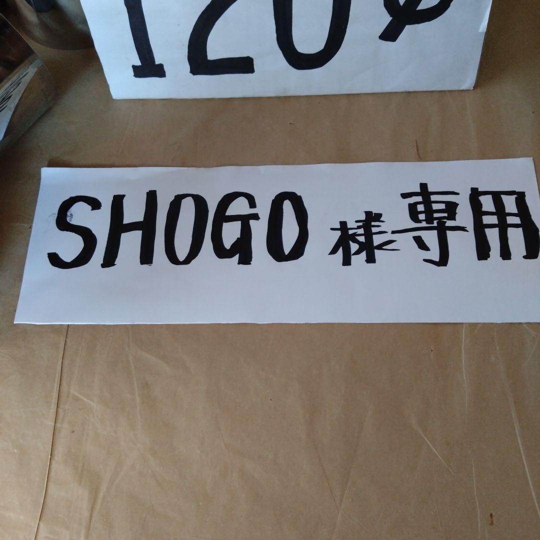 SHOGO径120mm煙突セット