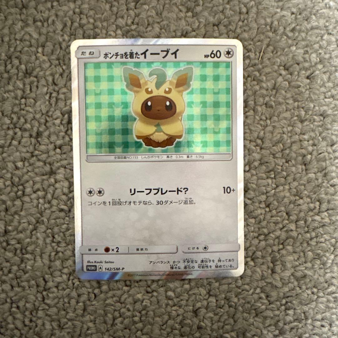 ポンチョを着たイーブイ リーフィア