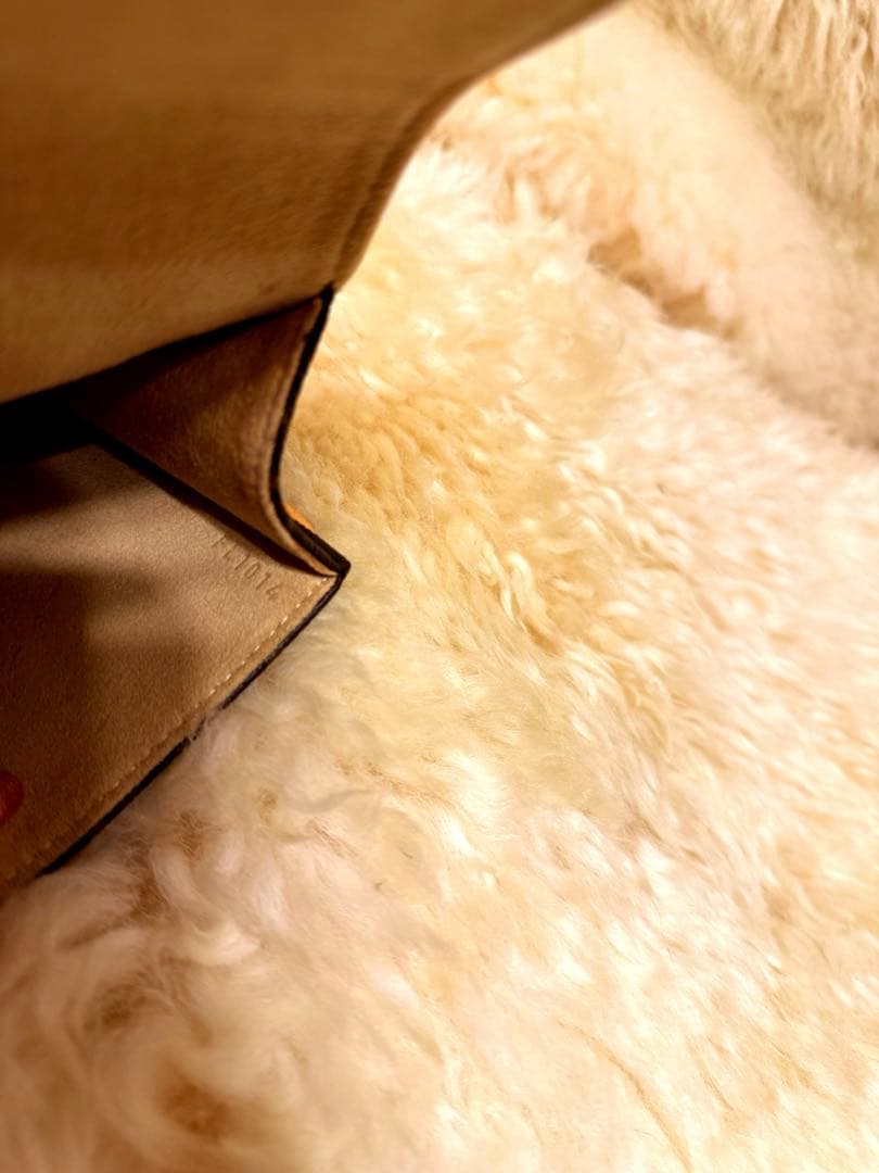 LOUIS VUITTONルイ ヴィトン　 ポシェット・フロランティーヌ