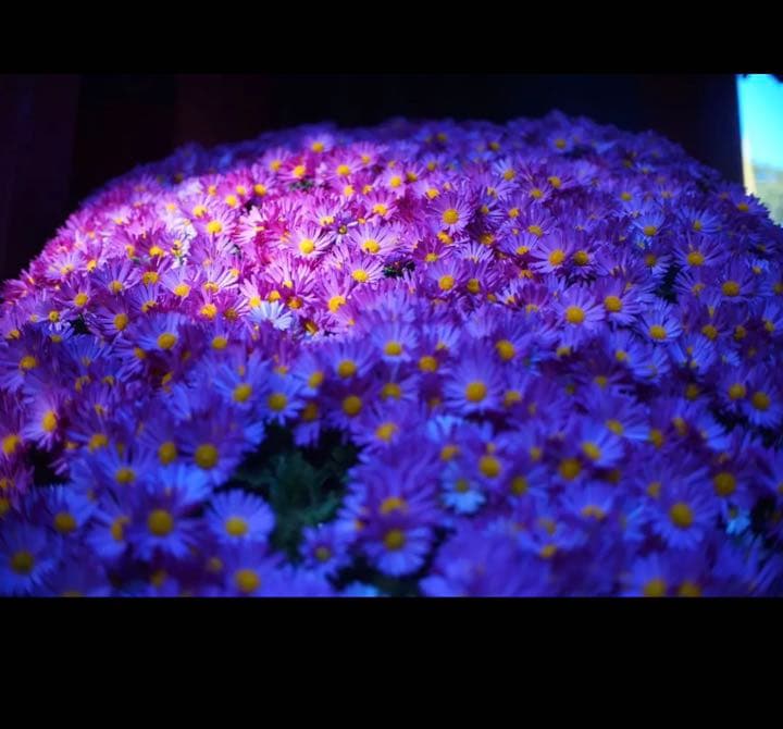 FUJIFILMミラーレス用　25mm F1.8 単焦点レンズ！サードパーティ