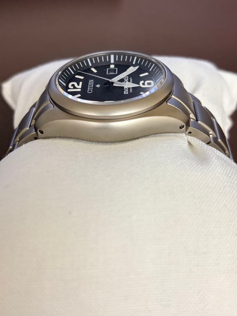 ⭐︎ ごろた。(お取り引き感謝) ⭐︎CITIZEN PROMASTER