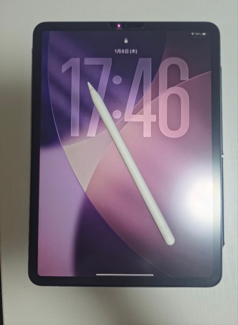 iPad Pro 11インチ 第2世代 Apple Pencil付き