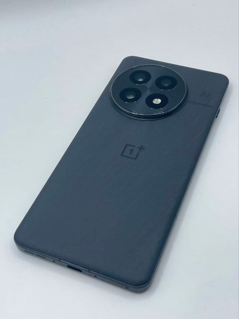 OnePlus 13 12/256GB SIMフリー ブラック 中国版