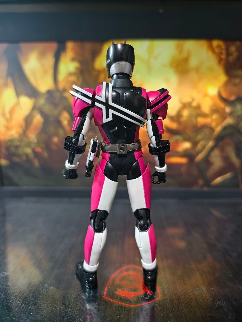 S.H.Figuarts 真骨彫仮面ライダーデイケイド