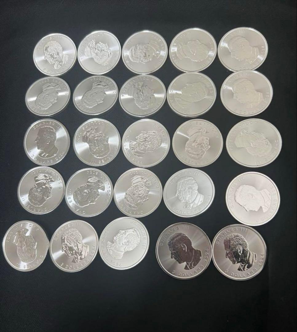 メイプルリーフ銀貨hiroさん専用10枚②