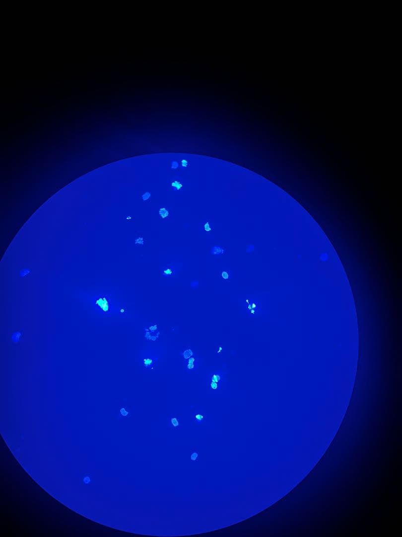 MacBook Air 13インチ　M1 2020