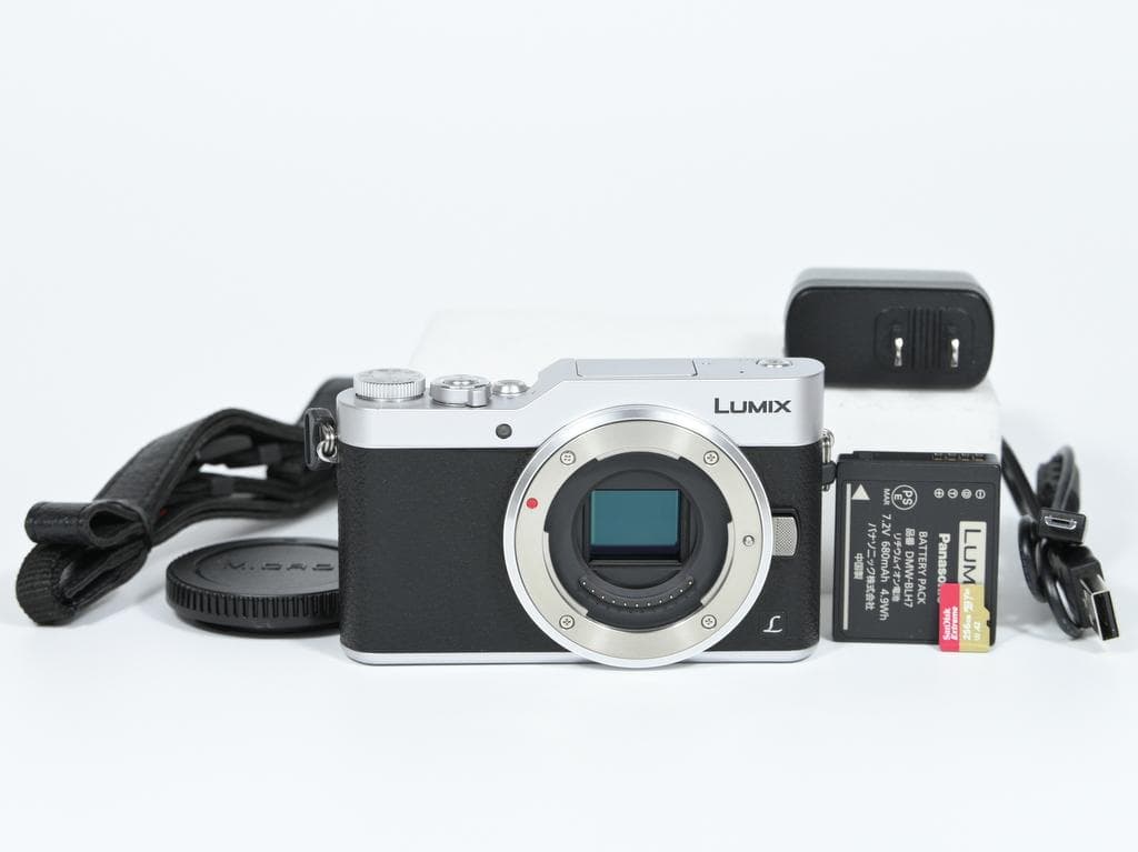 【美品】 パナソニック LUMIX DC-GF9 ボディ《ショット数1144》