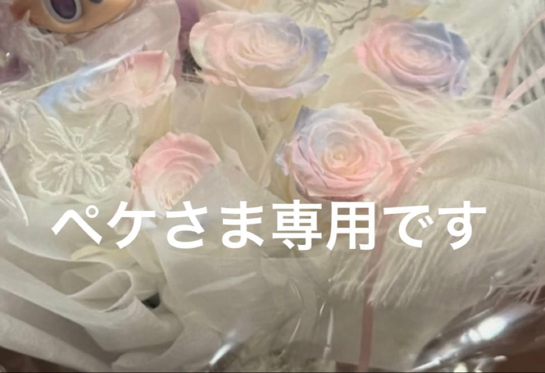 ペケさま専用です。