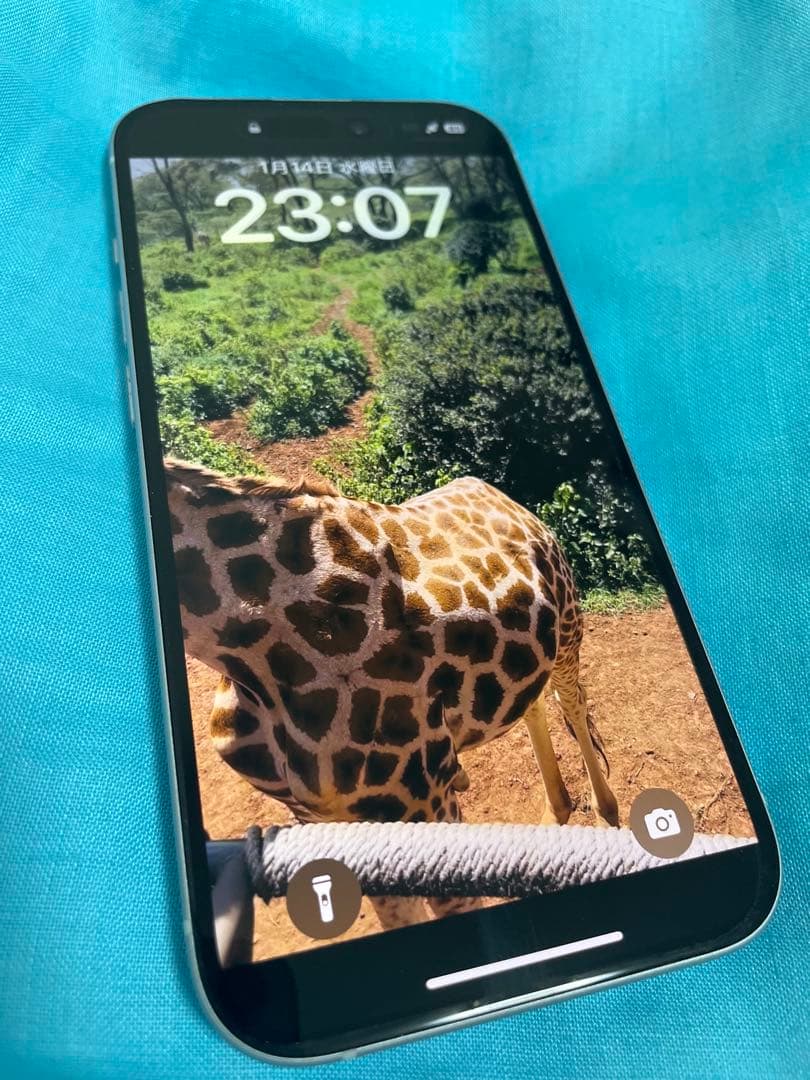 Apple iPhone 15 美品256 ブルー ケース付き　SIMフリー