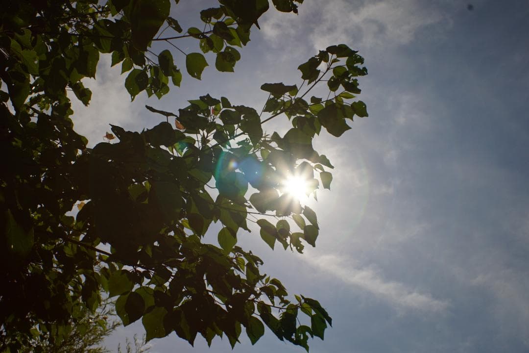 【美品】PENTAX SMC PENTAX 24mm F3.5