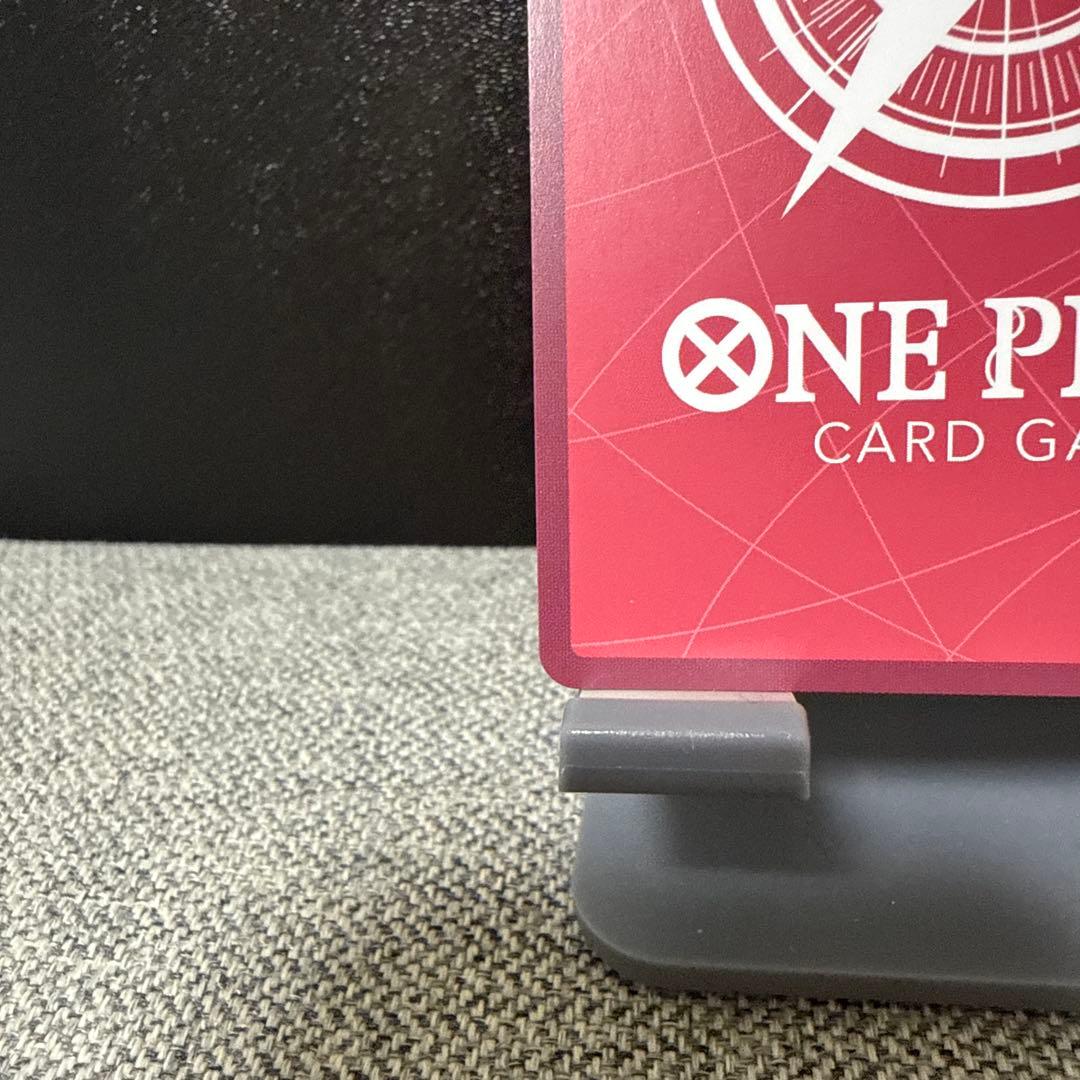 ゾロ リーダーパラレル