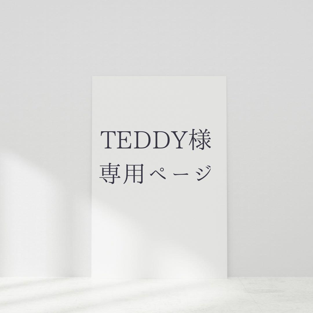 ネイルチップ・付け爪 TEDDY
