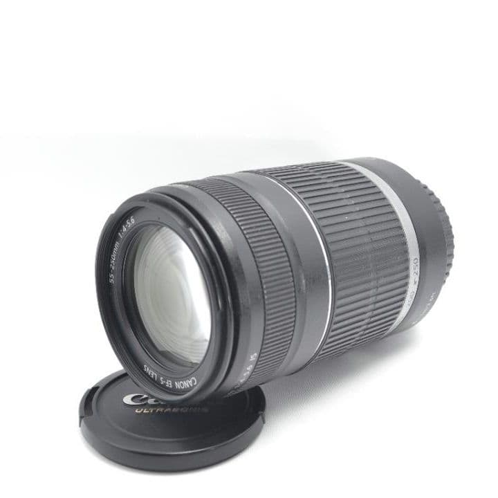 Canon EF-S 55-250mm 1:4-5.6 IS☆お手軽望遠レンズ♪