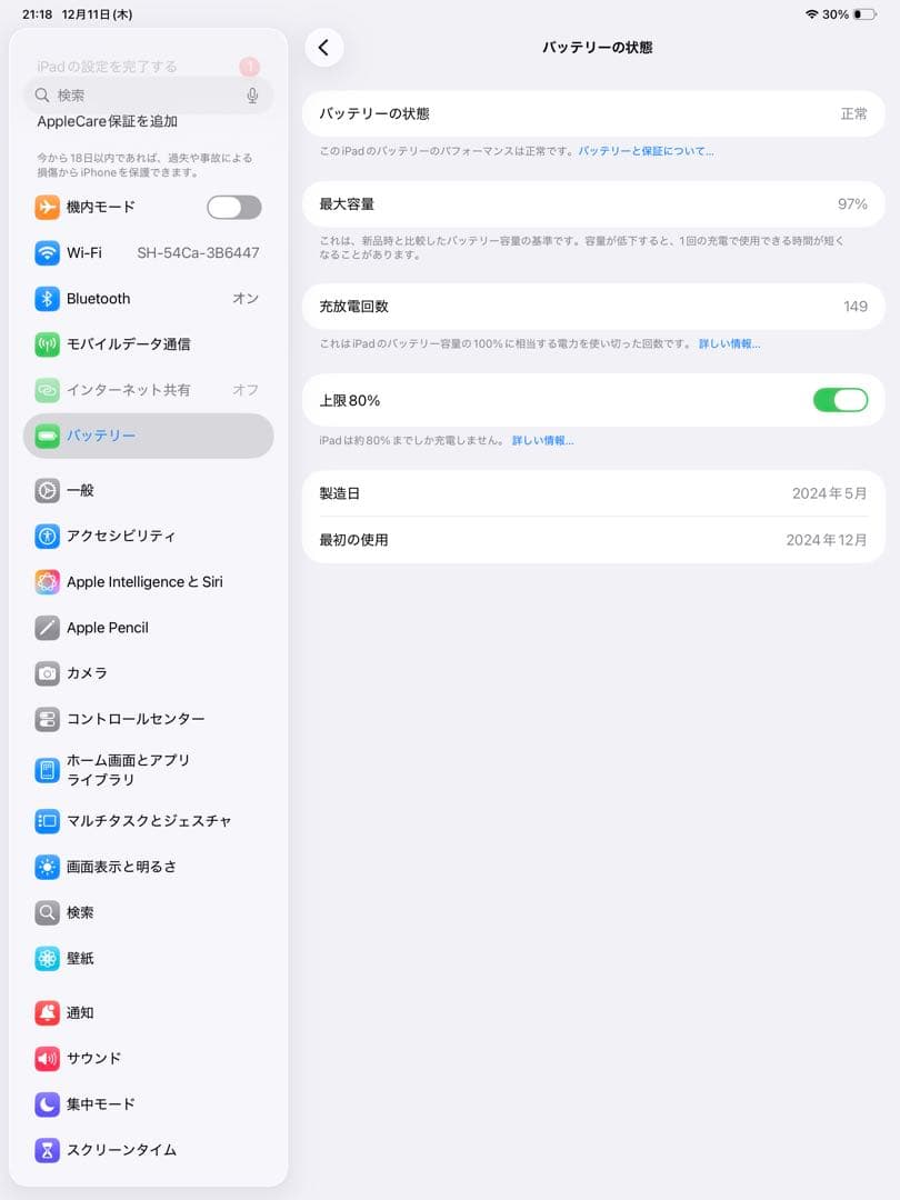 iPad Pro M4 13インチ Cellular Nano 1TB