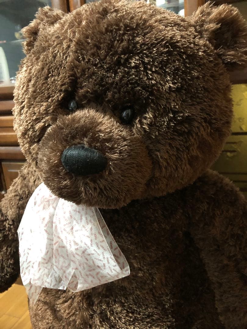 リボーンドール⭐️のお友達にも⭐️テディベア⭐️大きなベア⭐️ぬいぐるみ