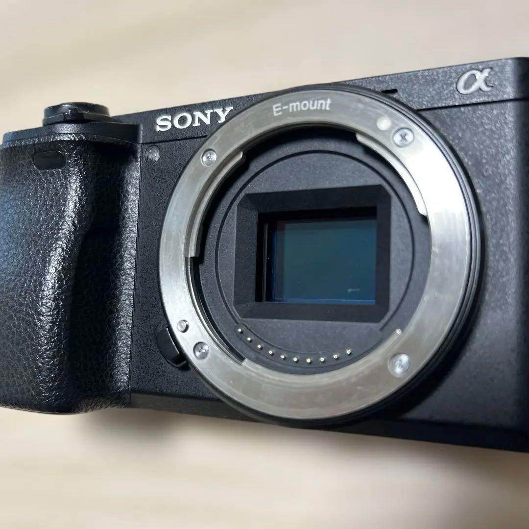 ひ*り様 SONY α6300 ミラーレスカメラ 4K動画撮影