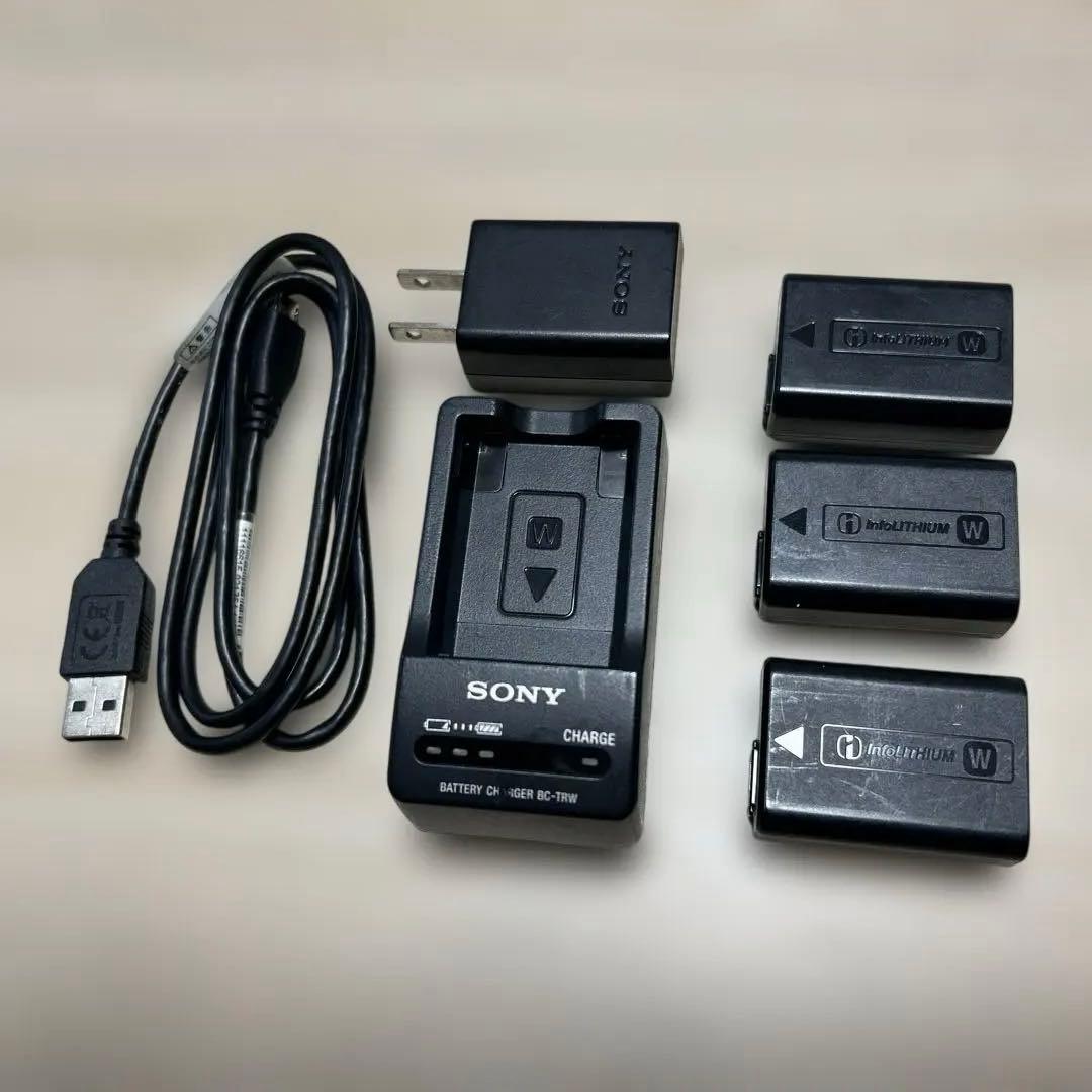 ひ*り様 SONY α6300 ミラーレスカメラ 4K動画撮影