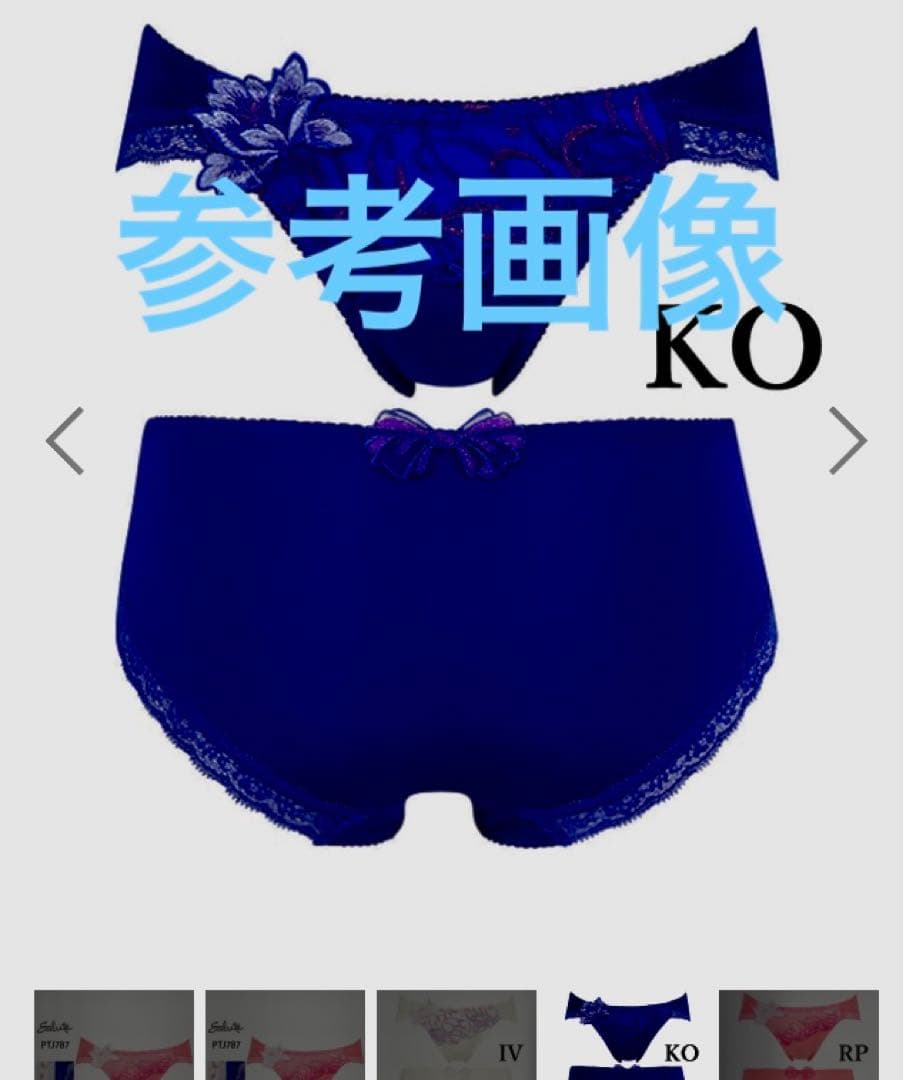 専用品　サルート E75 87グループ　VIVA LINEブラ　上下セット