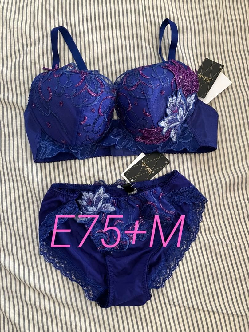 専用品　サルート E75 87グループ　VIVA LINEブラ　上下セット