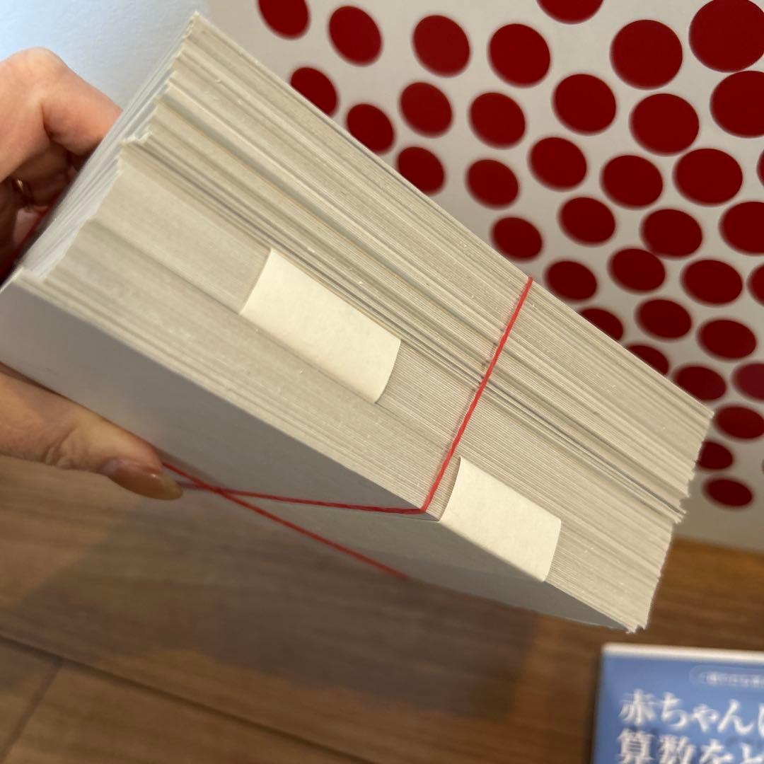 家庭保育園　ドーマン博士のドッツカード　大判ドッツカード