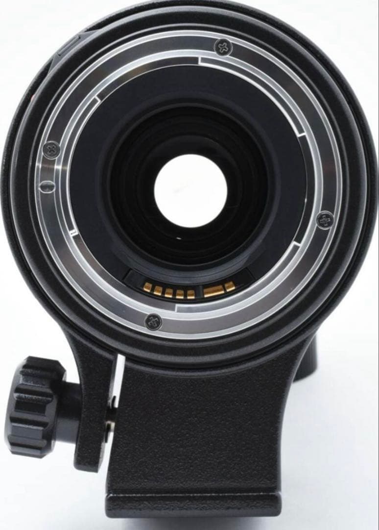 TAMRON ＊AF＊200-400mm F5.6 ＊キャノン