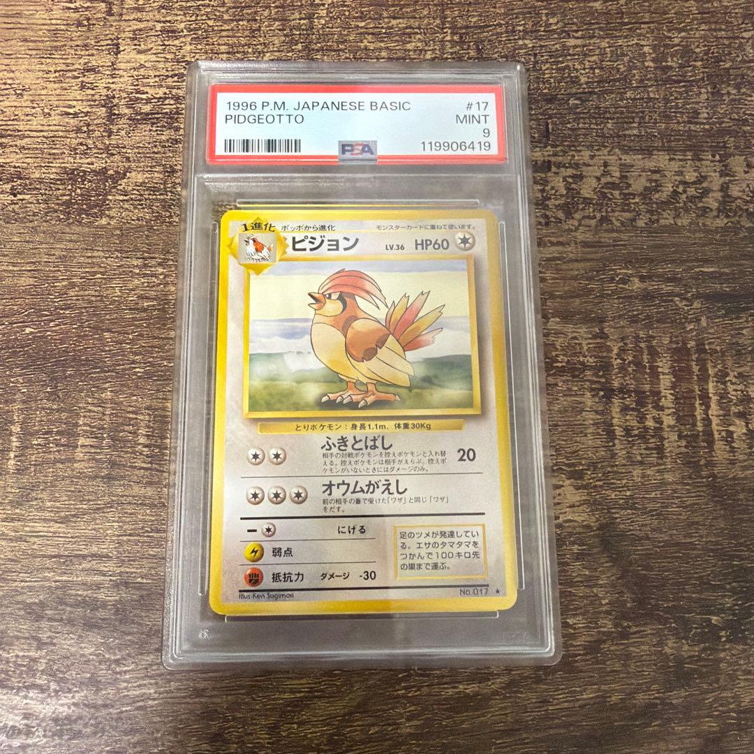 ピジョン　旧裏　PSA9