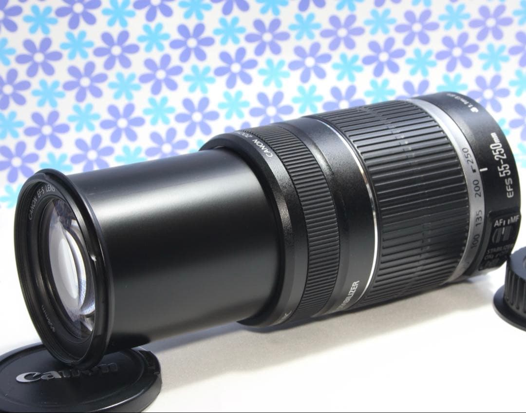 極美品❤️Canon EF-S 55-250mm IS❤️望遠ズーム❤️手振れ補正❤️