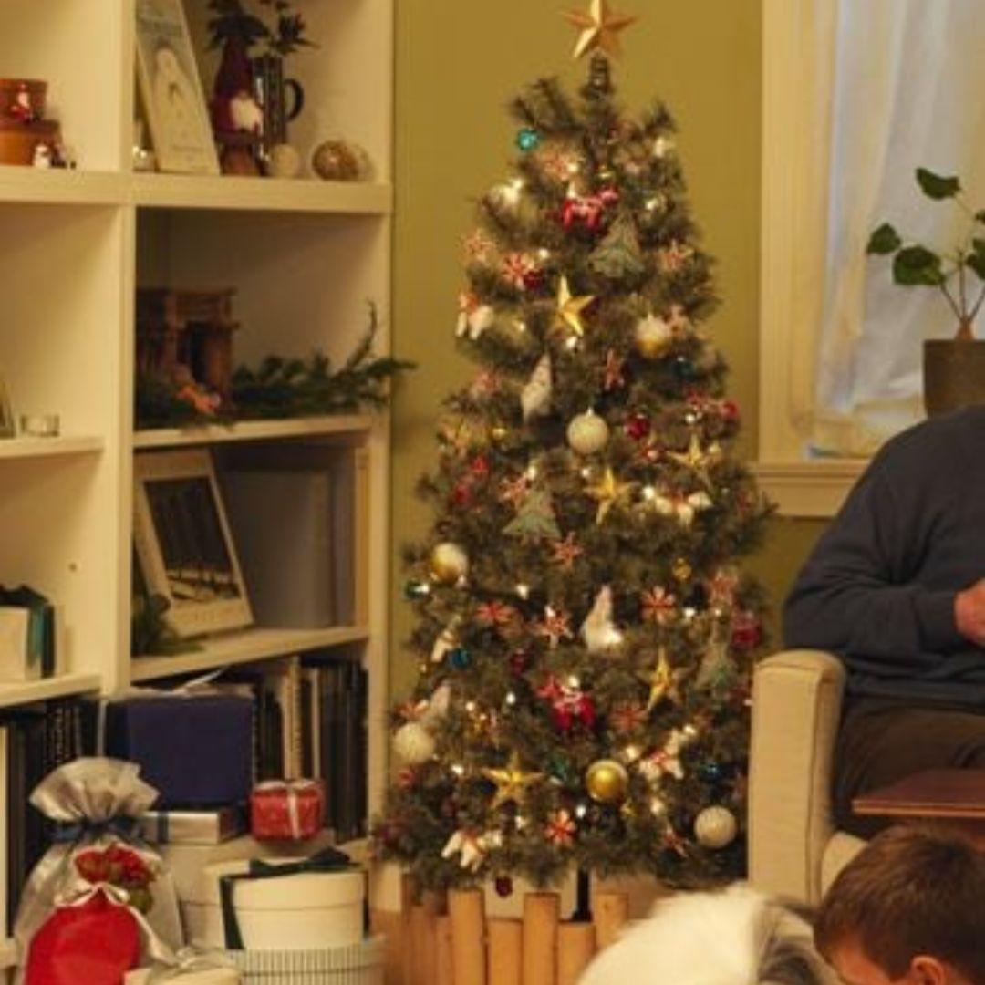 限定価格クリスマスツリー　収納バック　スタディオクリップ