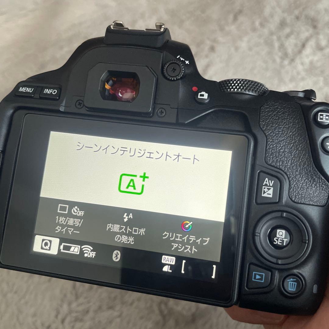 フィルムカメラ shitan