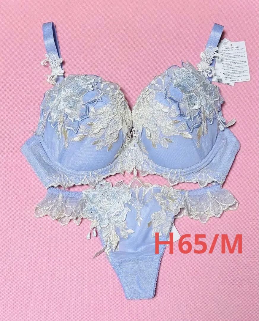 サルート34G H65 ソングM