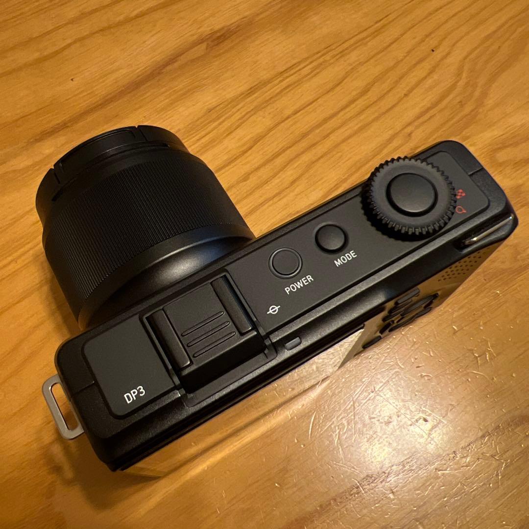 わ*ん様 【極上品】SIGMA DP3 Merrill シグマ