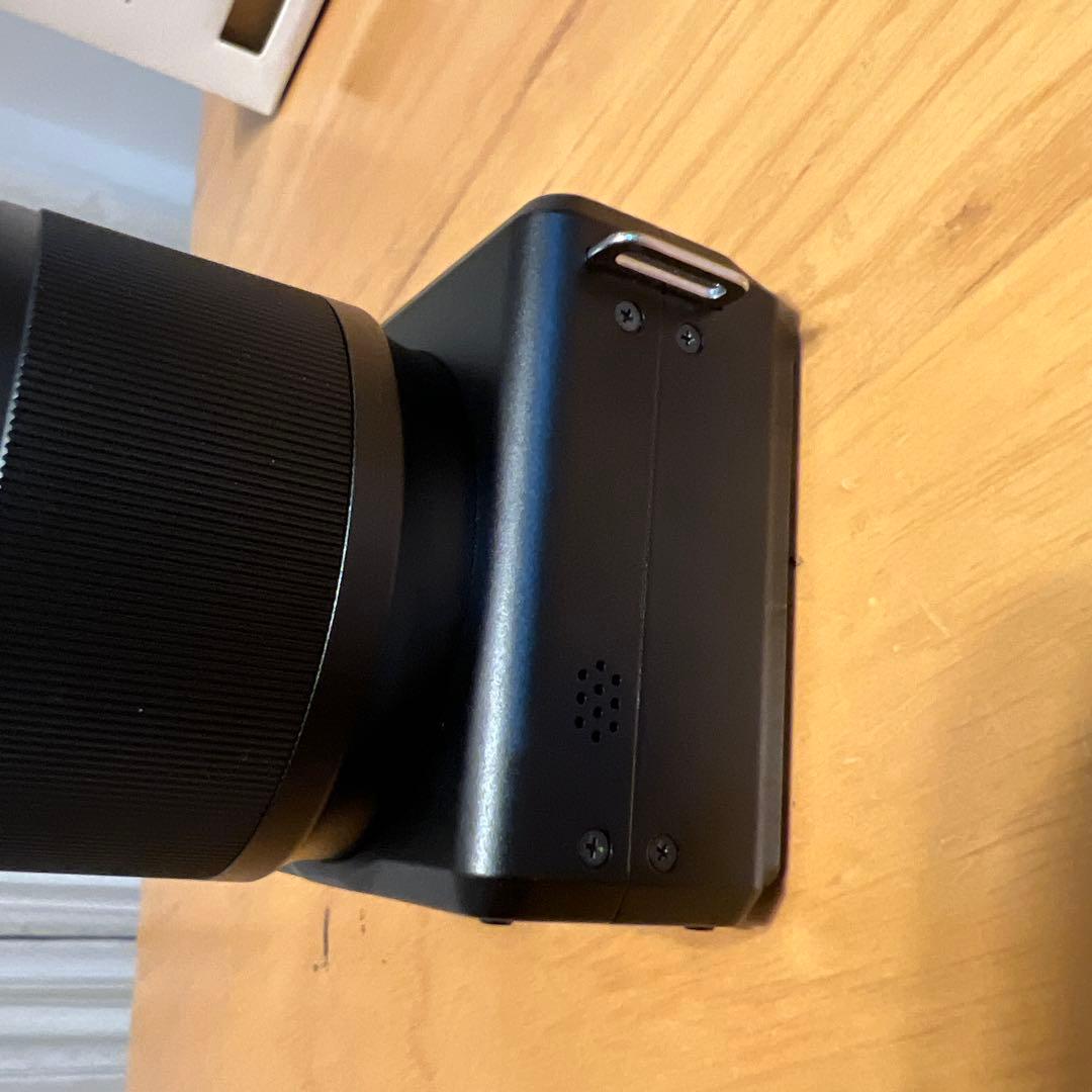 わ*ん様 【極上品】SIGMA DP3 Merrill シグマ