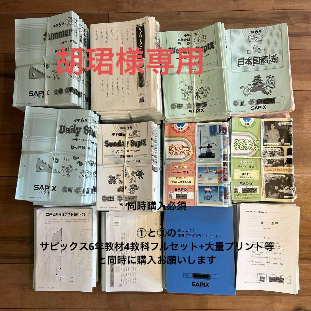 胡珺 ②サピックス6年教材4教科フルセット+大量プリント等