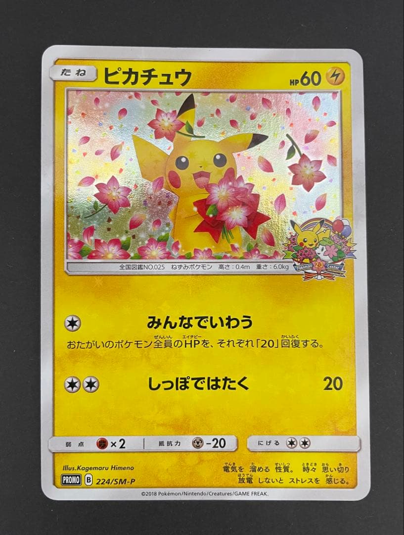 ピカチュウ 224/SM-P PROMO