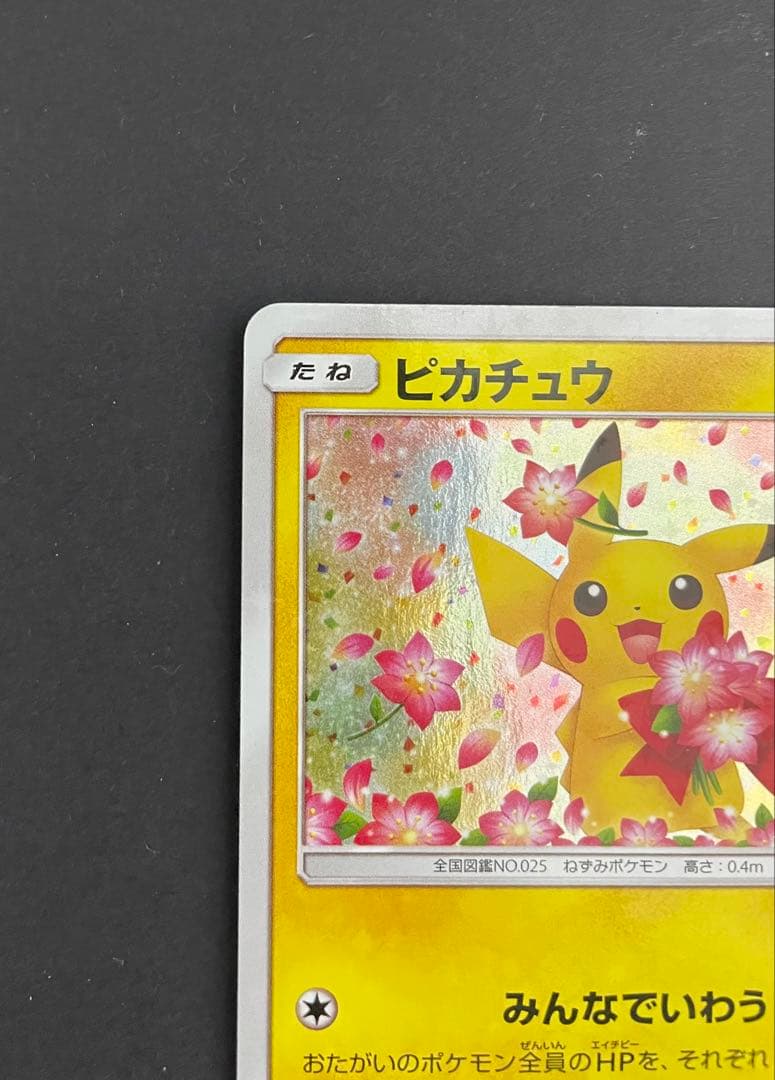 ピカチュウ 224/SM-P PROMO