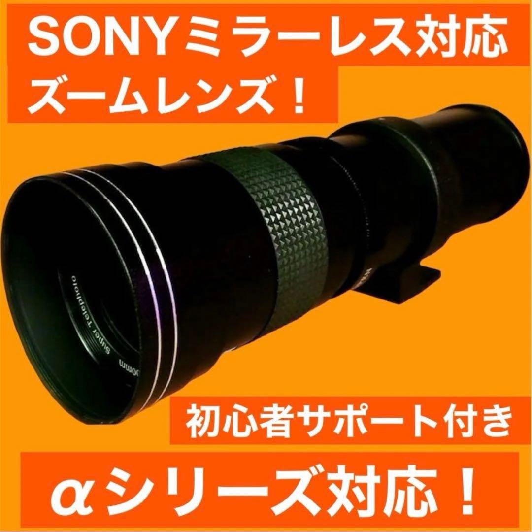 即購入OK！SONYカメラをお持ちの方におすすめな望遠レンズです。サポート付き！